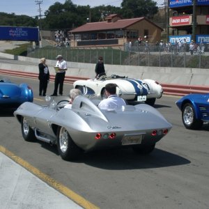 Stingray Racer Rear