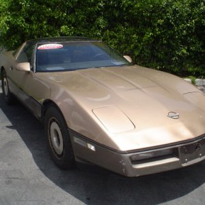 my 84