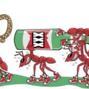 AntsWithBeer