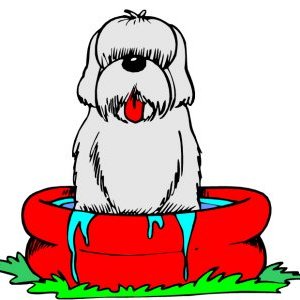 Dog In Pool