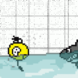 Shark Attack