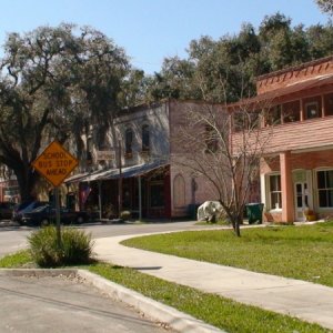 Micanopy, FL Feb, 2007