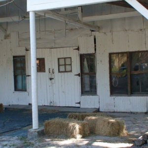 Micanopy, FL Feb, 2007