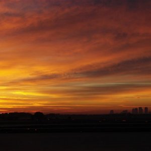 DSC05533