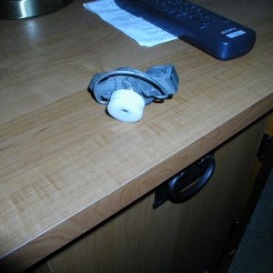 P1010004