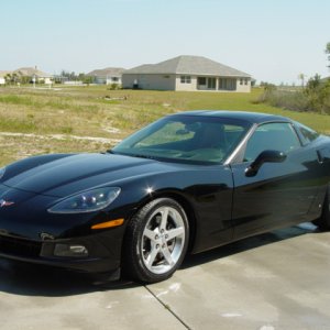 Vette setting pretty
