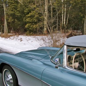 New Years Day Cruise