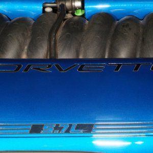 Painted fuel rail covers