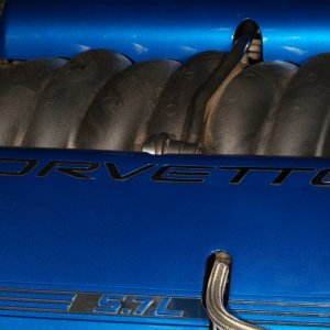Painted fuel rail covers