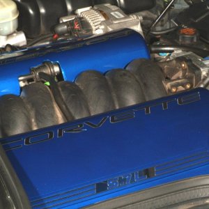 Painted fuel rail covers