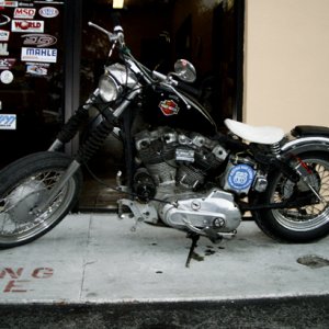 1973 Sportster