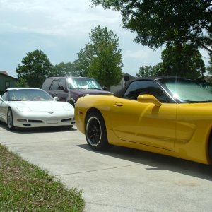 The Vettes