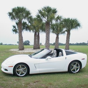 Our C6