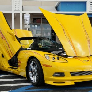 Corvettes on the Pier 2008