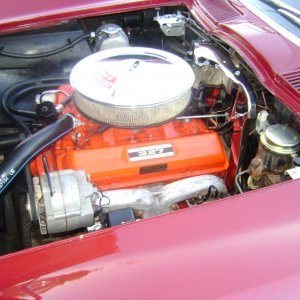 Tallahassee Corvettes