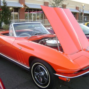 Tallahassee Corvettes