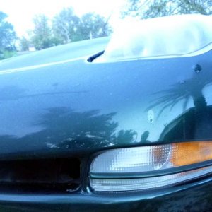 strips on turn signal add on