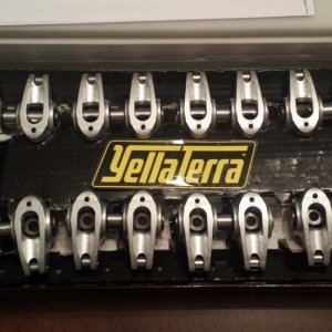 yella terra rockers