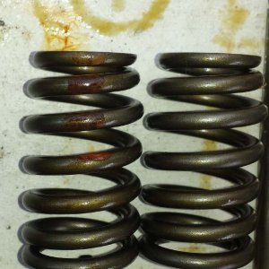 old valvesprings