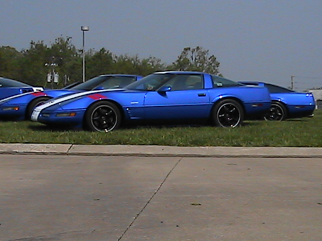 329_on_grass