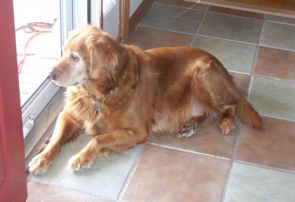 788Junior_the_door-med