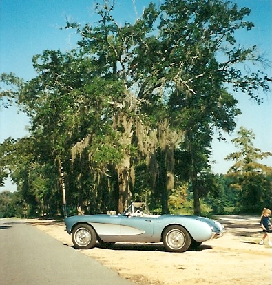 Bainbridge Ga.