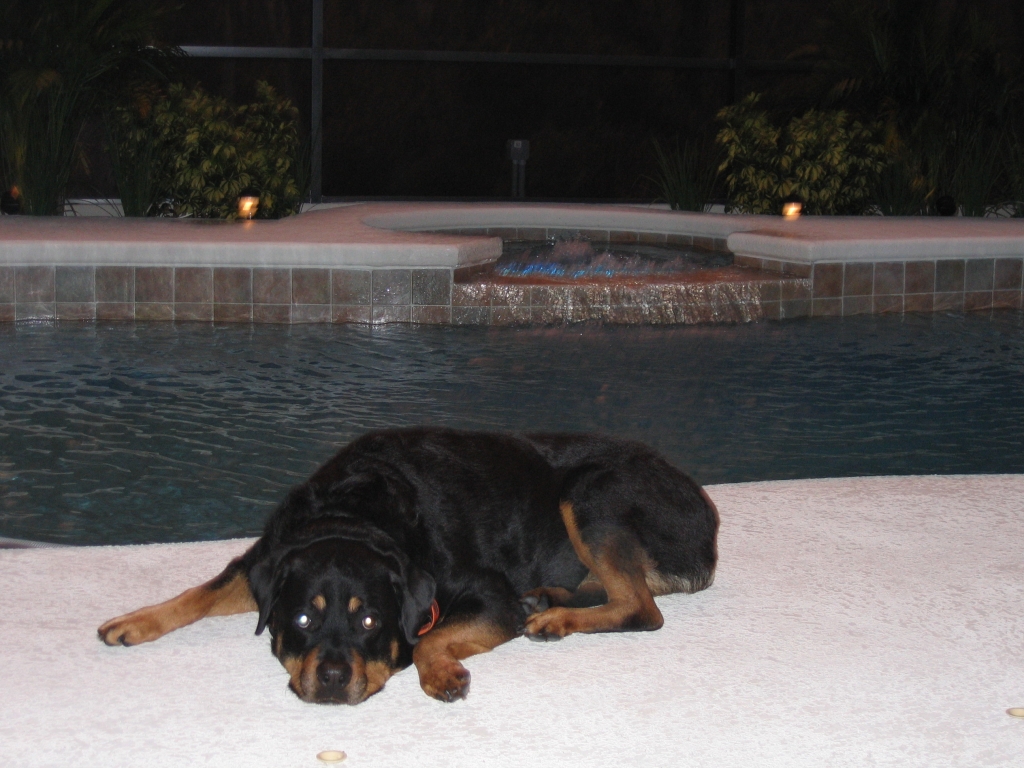 C5STATETROOPER'S MAGGIE