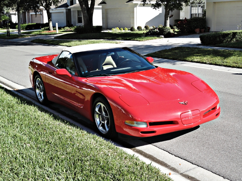 Cleaned and Ready to Go!