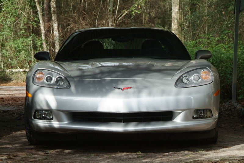 Connie's Silver C6