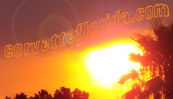 corvettefloridalogo