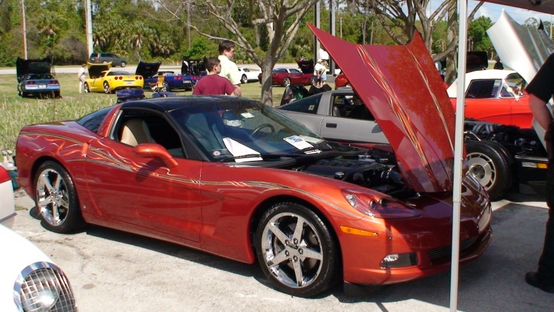Crystal River, FL 03/24/07
