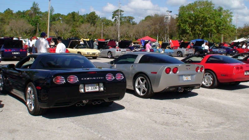 Crystal River, FL 03/24/07