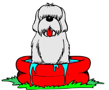Dog In Pool