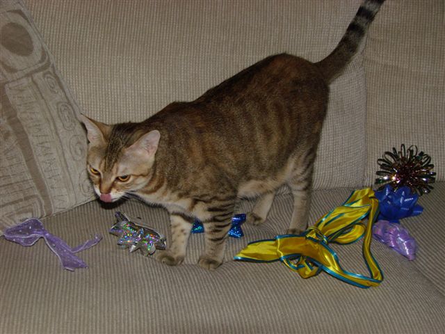 DSC00103