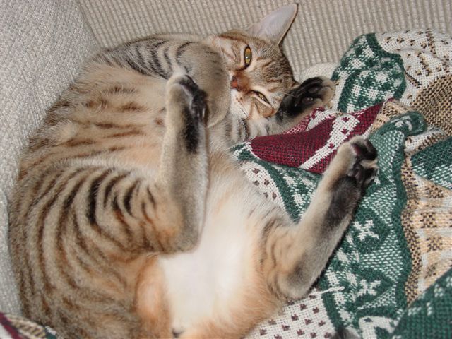 DSC01769