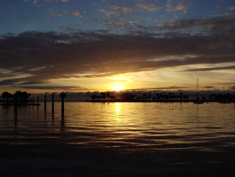 DSC05067WEB