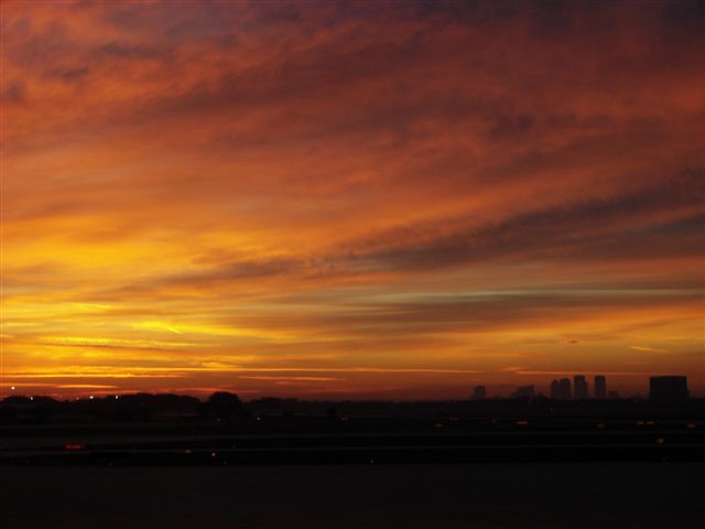 DSC05533
