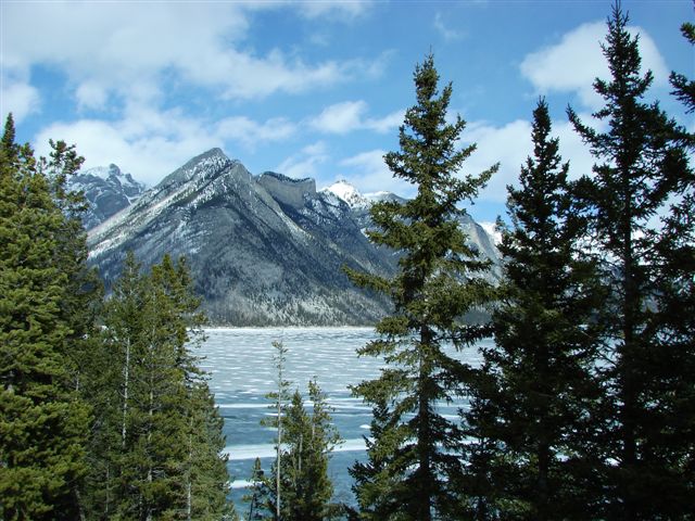 DSC06036