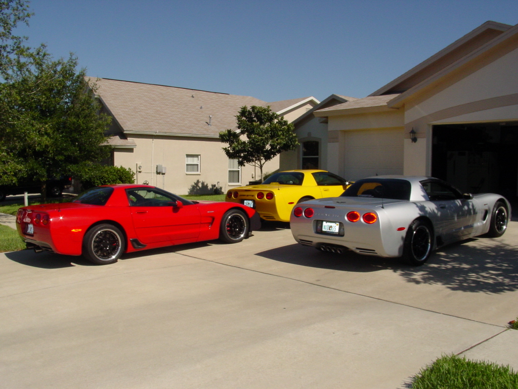 IVO ZO6 MOD PARTY
