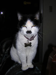 Kitlers 2