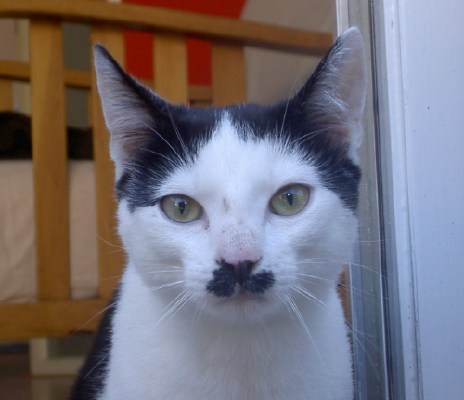 Kitlers