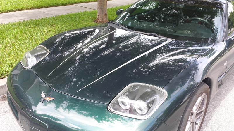 ls1hoodstripeleft
