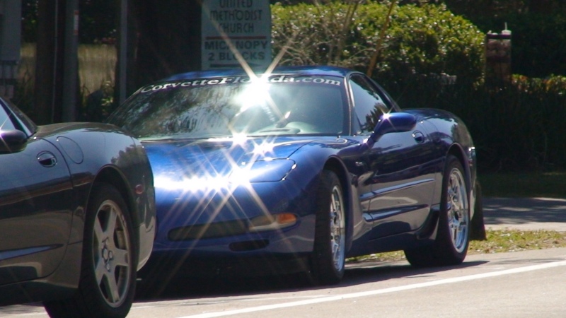 Micanopy, FL Feb, 2007