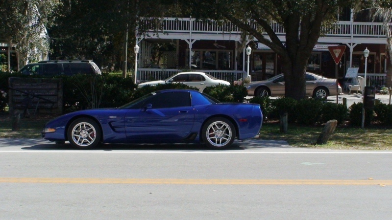 Micanopy, FL Feb, 2007
