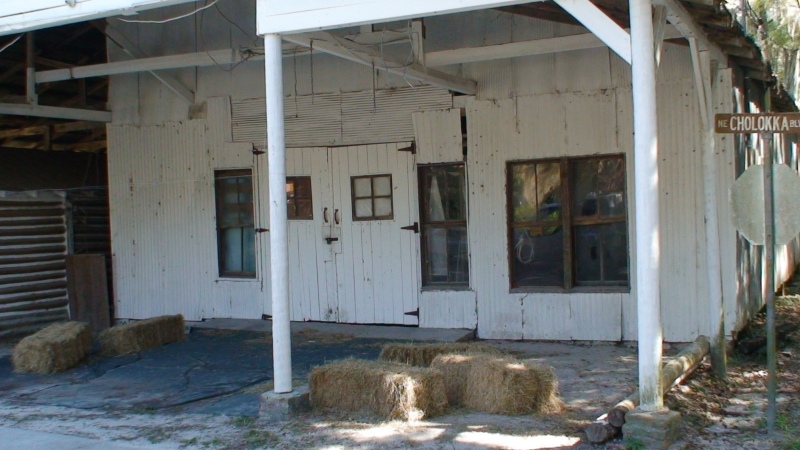 Micanopy, FL Feb, 2007
