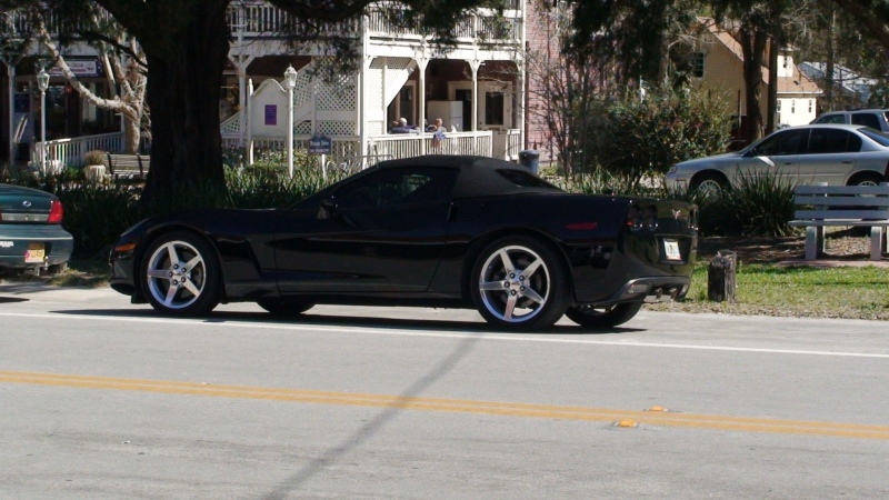 Micanopy, FL Feb, 2007