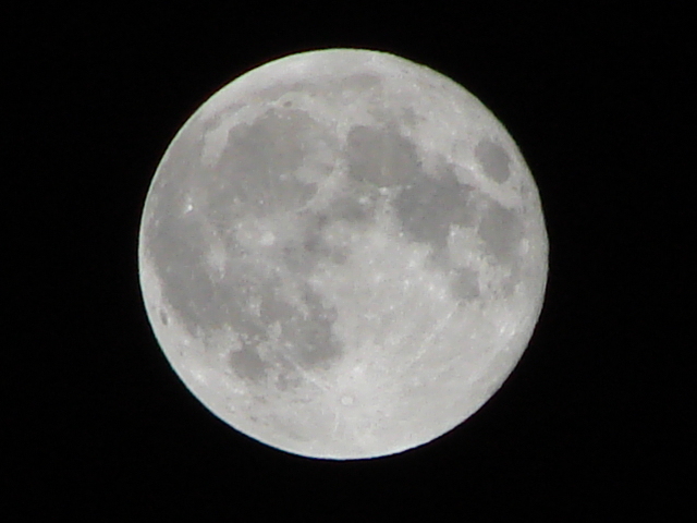 Moon Shot