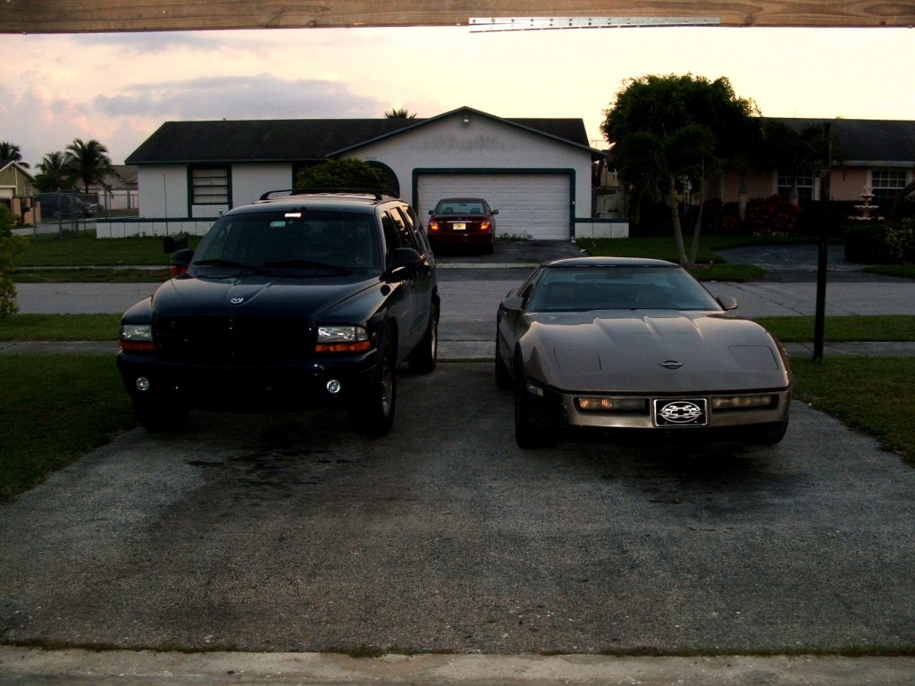 my 84