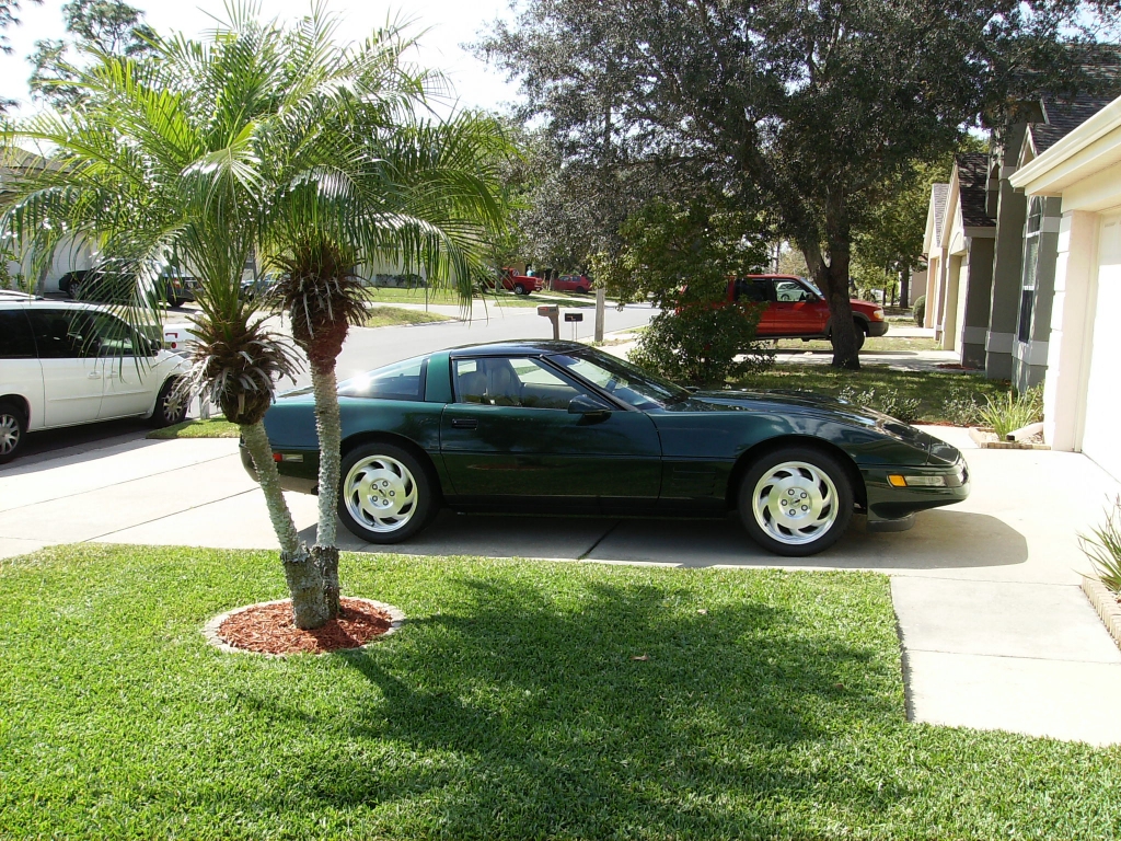 MY 93 Polo Green