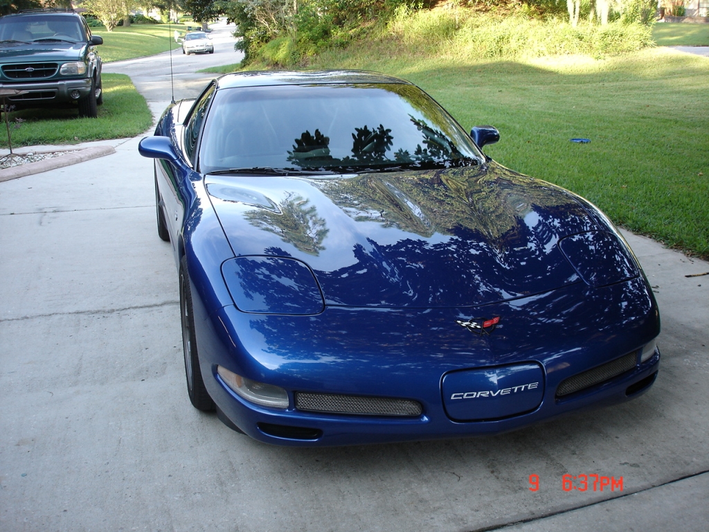 My Blue Angel
